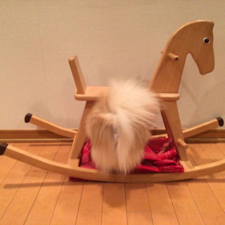 74459be4 832f 4cf8 9c11 16e89f4572b3