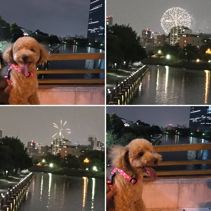 74460a39 a98c 4723 8619 d8fb6238e652