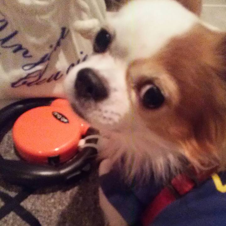 74462fea cbd2 4dea bc80 2b43ccc7ea8b