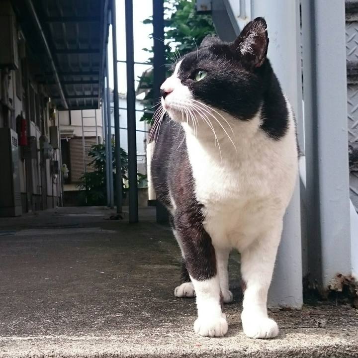 7446a529 f312 415f 99b0 43dc0a516382