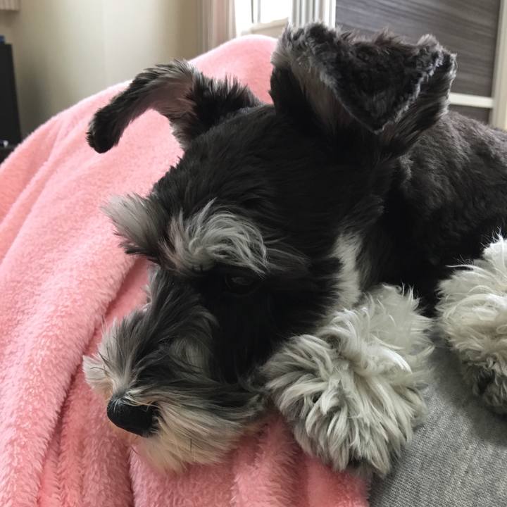 74482444 4c3e 4cbc a854 047877db9721