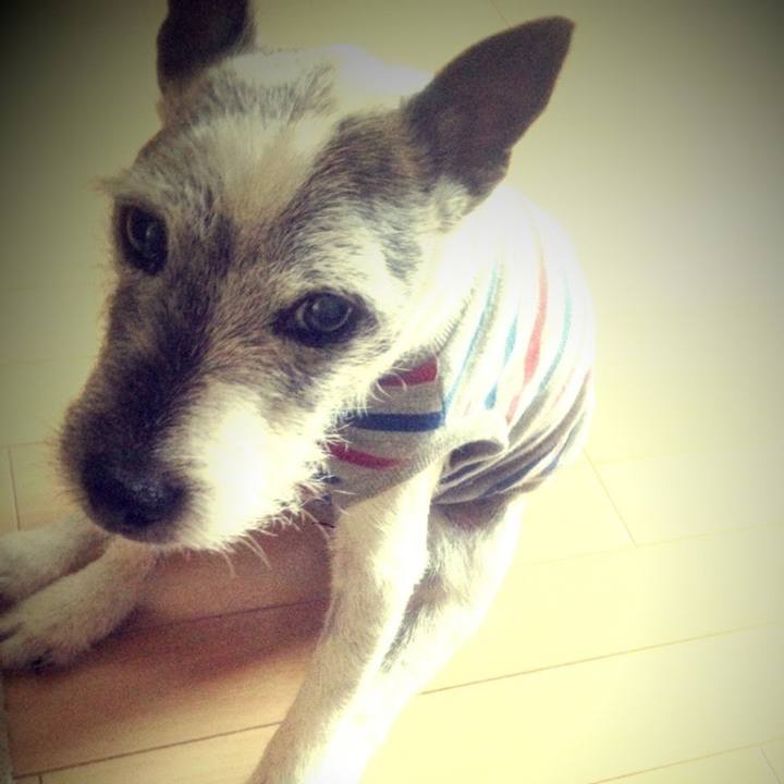 7448a3d0 f6d2 476a 9cf3 5571b615b49c