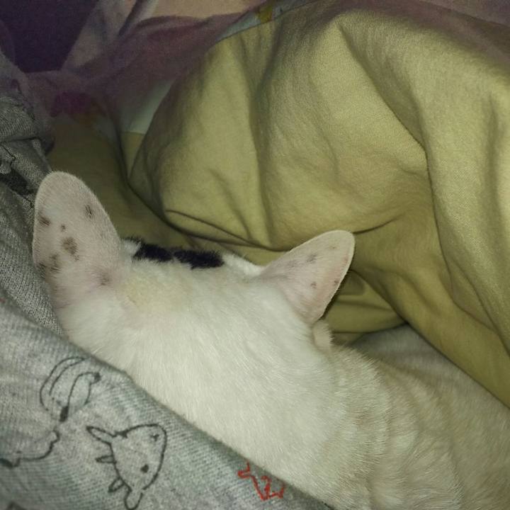 74497b08 462e 4f8f 89ef f6ef08ed78b1