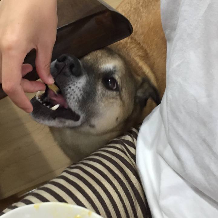 744b188b 4cdc 4aa8 b312 c8ea7857c610