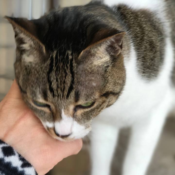 744b70e5 ea02 486c b2c0 13c93d1bb92f