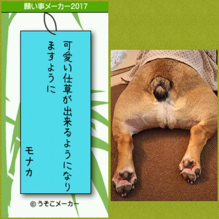 744bb274 59a2 4c26 a921 a78e671bcad5