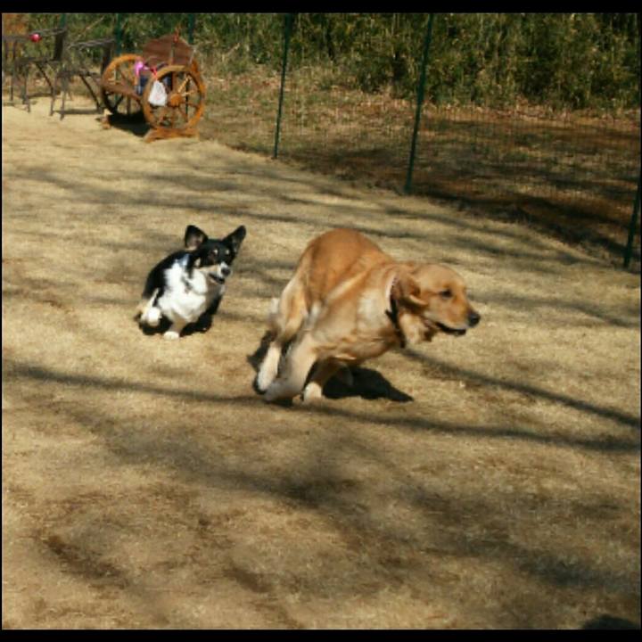 744bcb7f 48cb 4490 86b5 da3899b78017