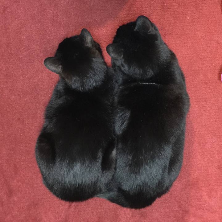 744bccfb 7734 4b8b 86ca f4b965b4d585