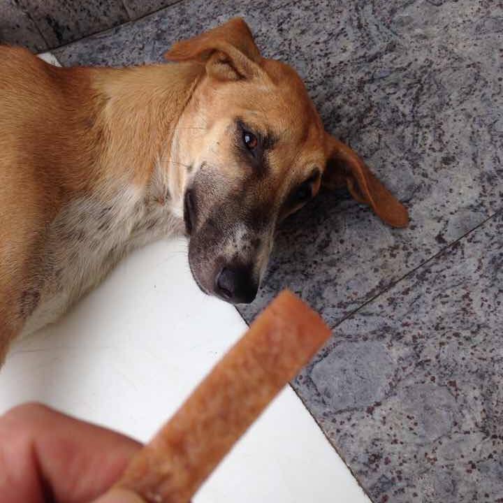 744bead8 35f1 49de b4a2 0490dd7537d9