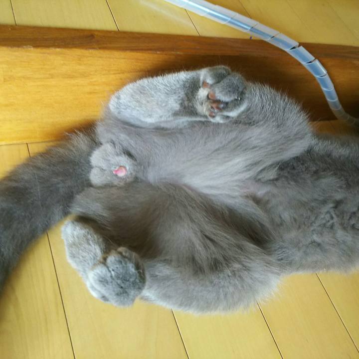 744c0706 a3f6 42b1 b83f 8072fc20de1c