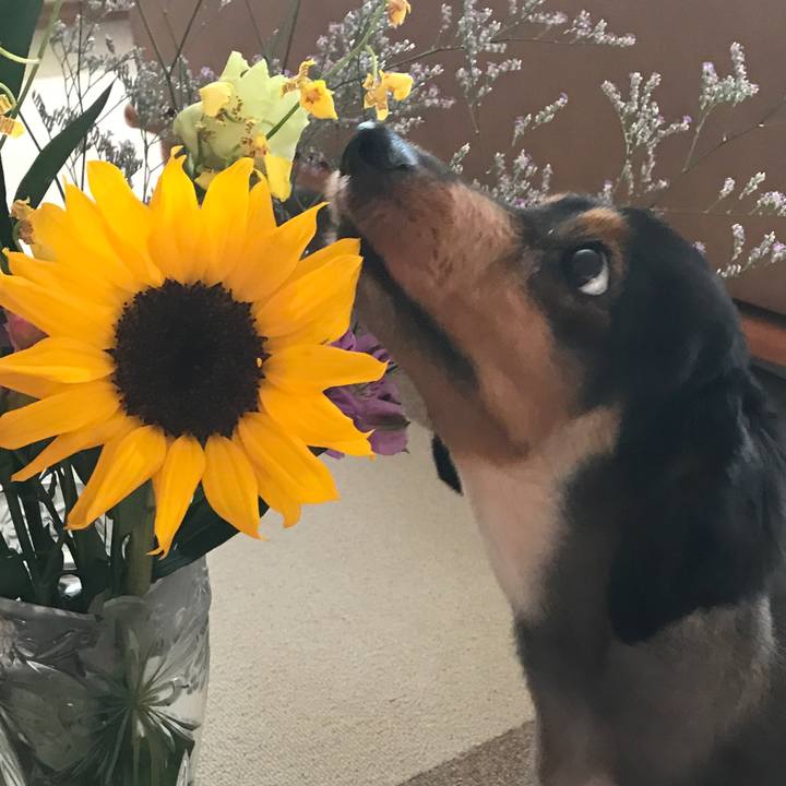 744d0e02 6049 401c 8723 448ac9dc58a2