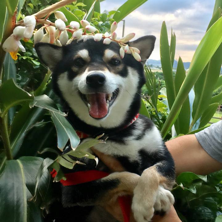 744dbc61 4c9e 469a 9c26 305c1399dbc9