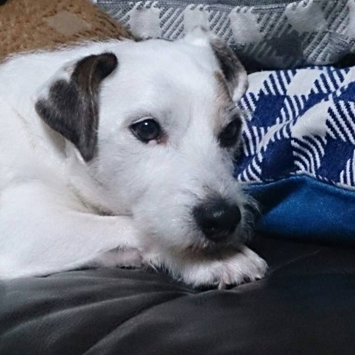 744dbca4 947b 49a9 b984 89b745ada4e4