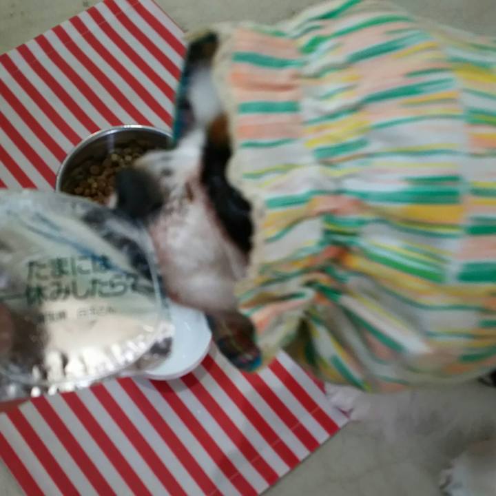 744f1aa6 a4ab 4834 a270 178be8892722