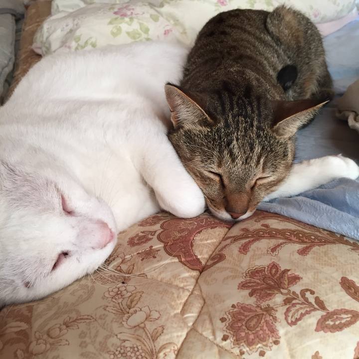 744fa490 6715 4c60 bb9a 995f9b7bff7d