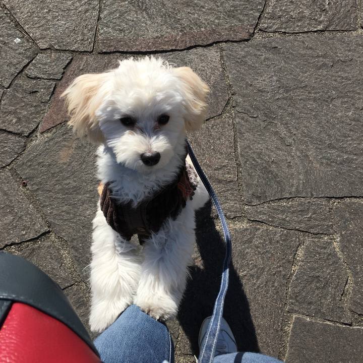 744fbee2 05ca 447d bcf3 f67b70b9913f