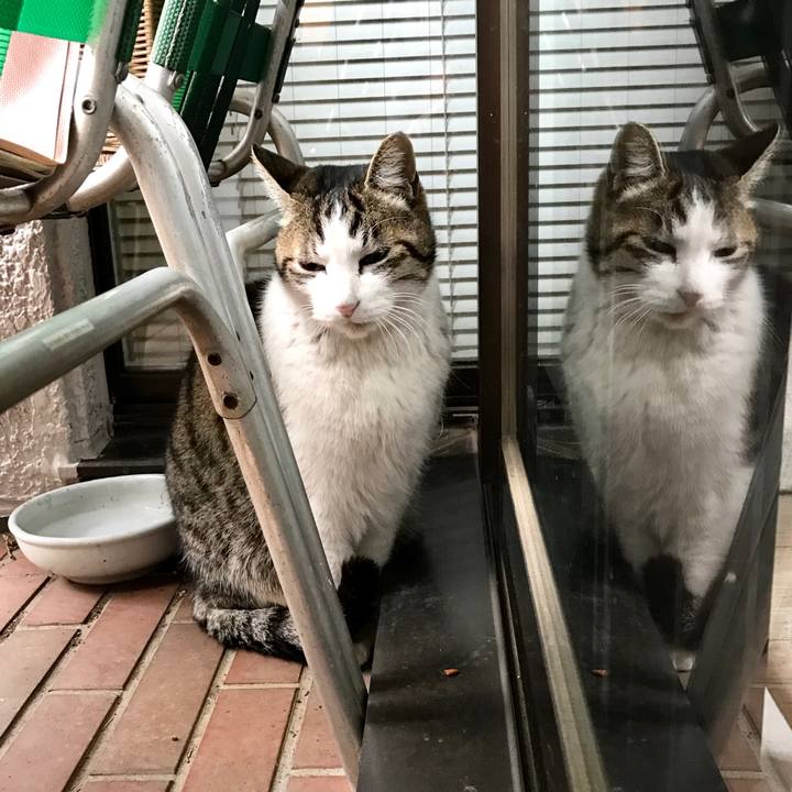 744fd88a 3307 438a bee6 3b517cc29ed4