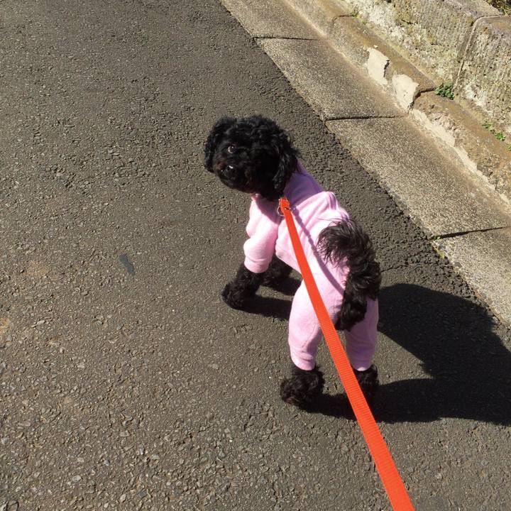 74500046 6ee5 4bbc b85c 6b1c1d03f874