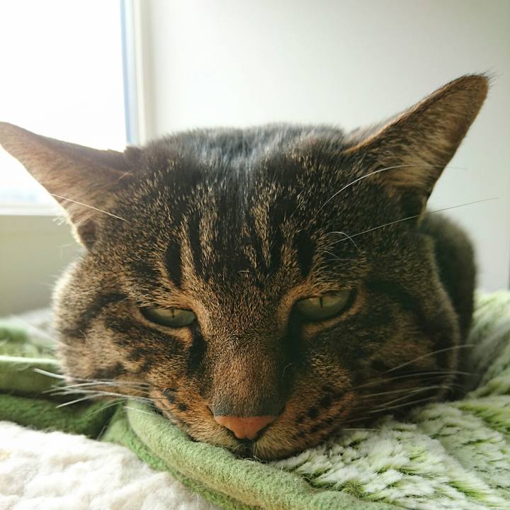 745019aa 983d 4344 98b7 a58b0d160712