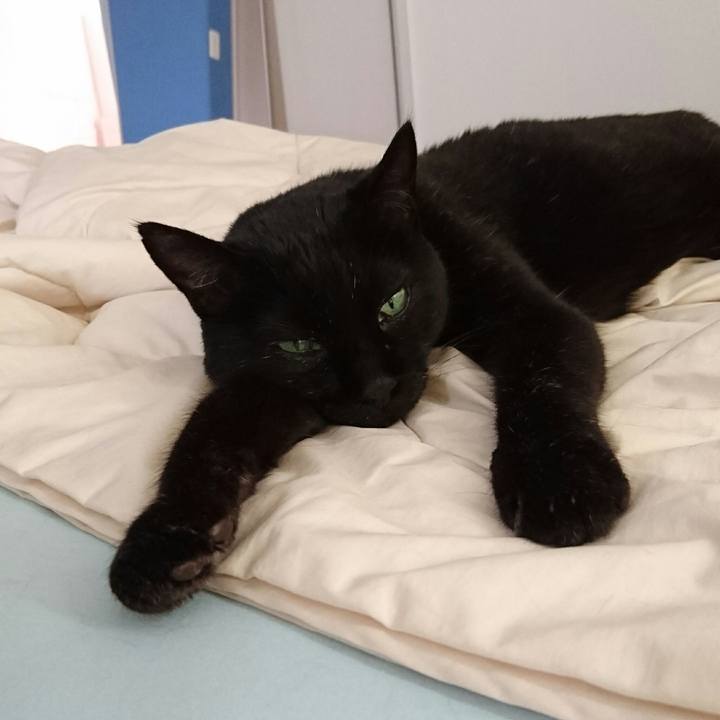 74503c3e 053d 4e4c 8a71 54cf7c09a497