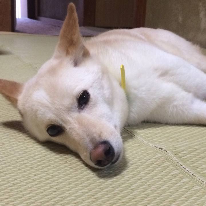 74506d96 99b1 417d adc8 26013999380d