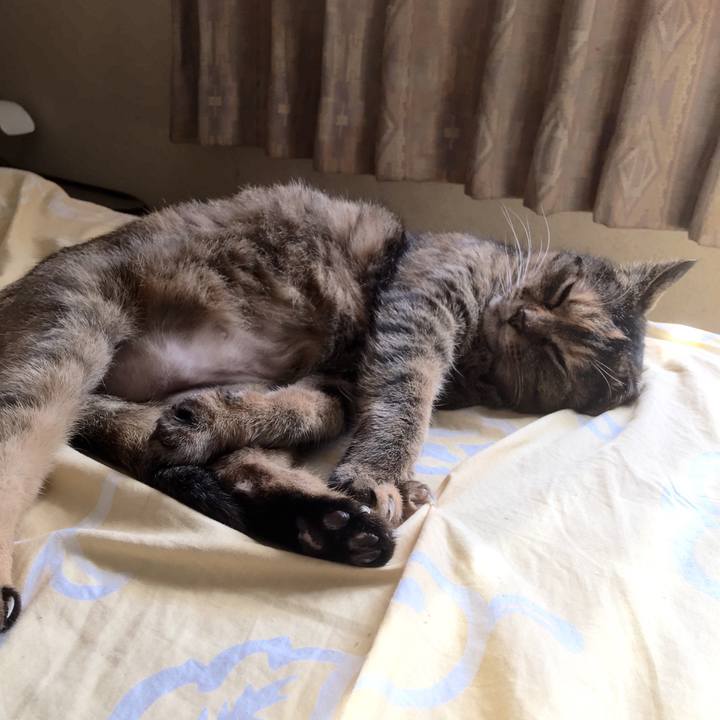 7450c1a2 891f 41c8 9eed ad9d8ce4a9c2