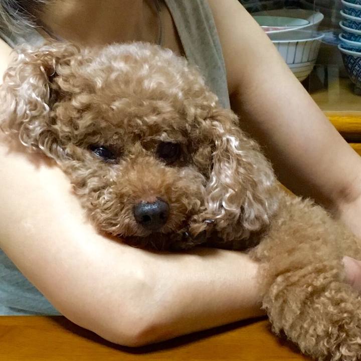 745104e5 71f1 4f59 94f8 e7d15d56ad49