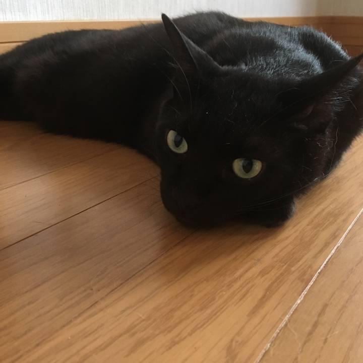 745168d5 a6a3 4539 abda 4930765fb92c