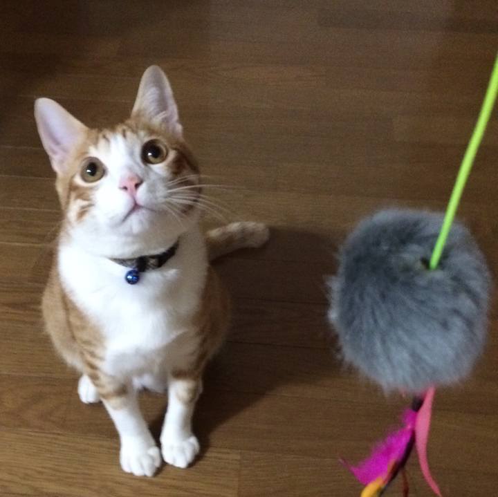 74519166 6984 4ed9 800b 3f7631c3141b