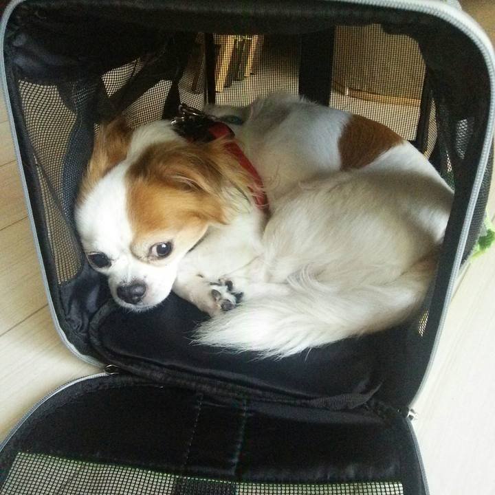 7452b52f 10d1 45c3 8205 c20a1c53a039