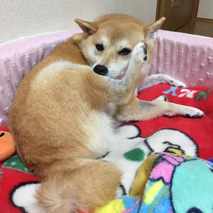 7453bb14 04fd 446e 8c21 db1ce002401d