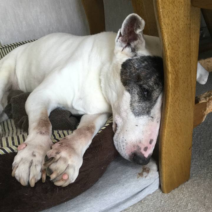 7454562e 3f6e 43c6 a1c6 a1df0f8e139a