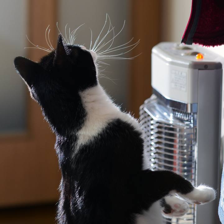 7454759a 7a9b 4827 af58 a953cef91551