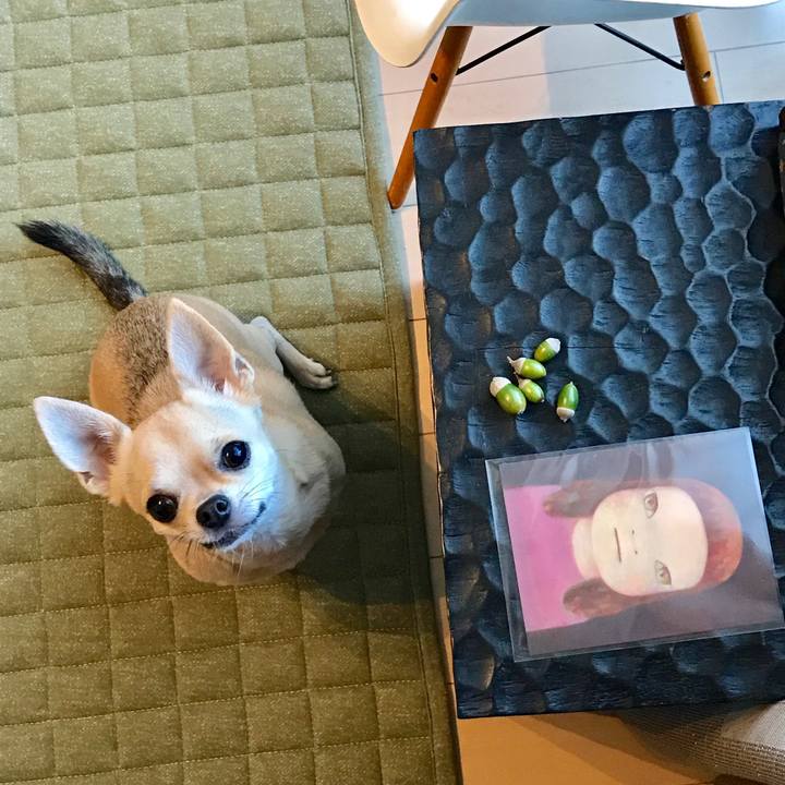 74560a4b 3707 4685 94af e6843cf8bf0a