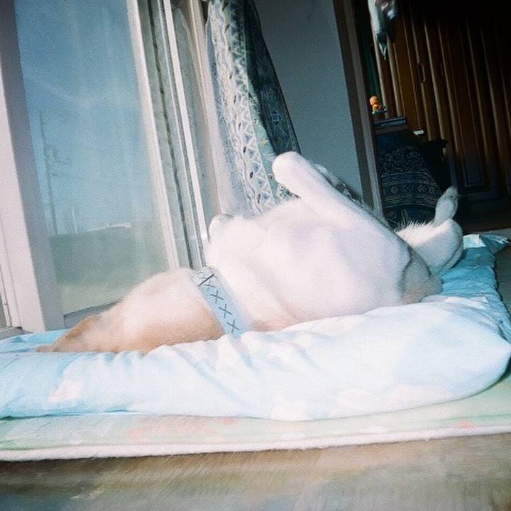 74560f8e fb67 4e43 b444 82a4adadfa51