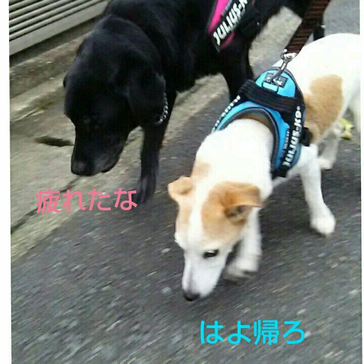 7456aaed 518c 4935 86d4 791f28f60a23