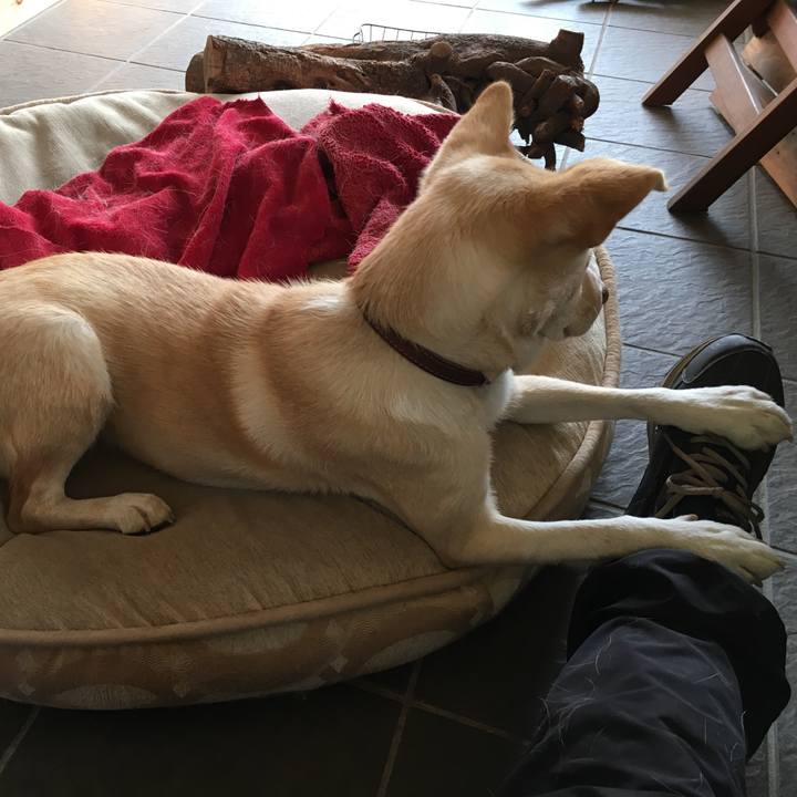 74584d27 0510 496f b191 352b02b80925