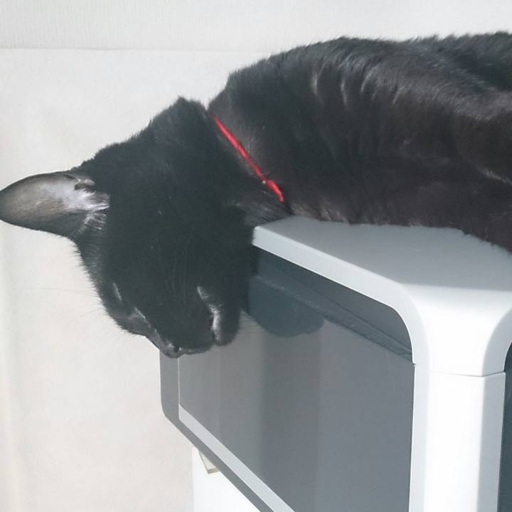 745915e1 101b 4702 8ef0 1c4d78856678