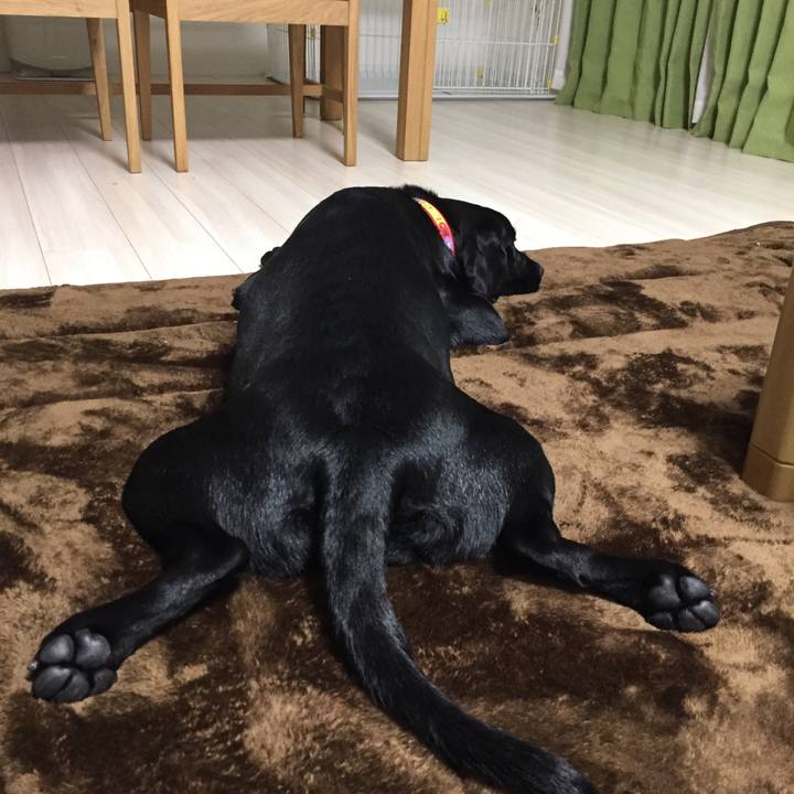 745915ec c864 4902 9fbf cb024566f87e