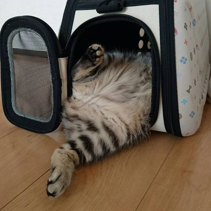 74591ed2 2bdc 4ba8 bb16 c9dd9148d018