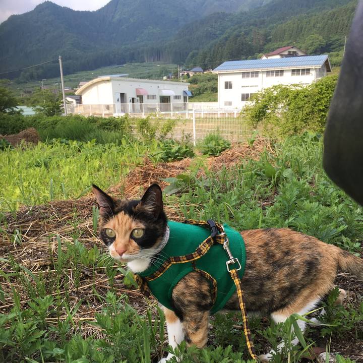 745a084a 9223 470d a620 13b35c485929