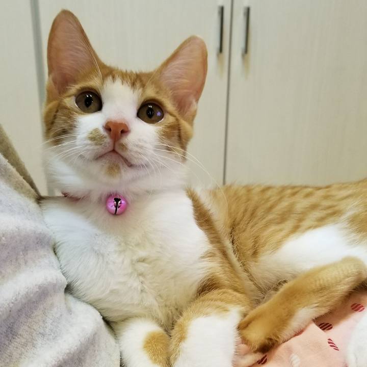 745a8069 2755 403c 8ff8 396e9195f631