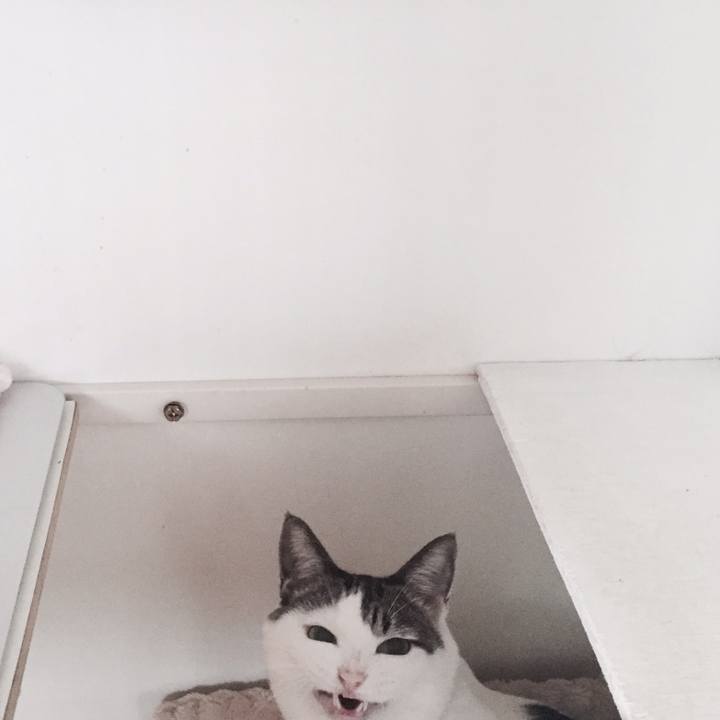 745ab60e 05c2 4a88 a09a 0b6cf404fbe7