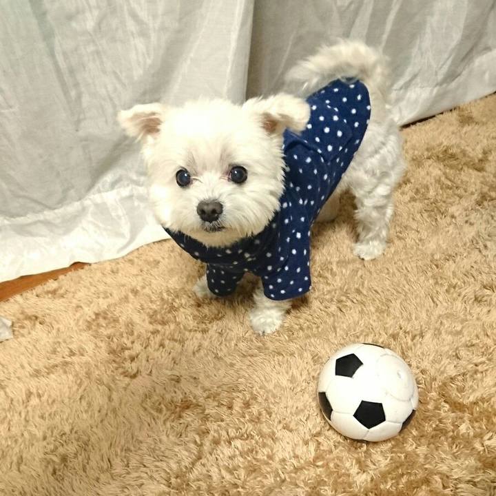 745b4ab3 4fed 4320 9b87 d3ca3adb16ae