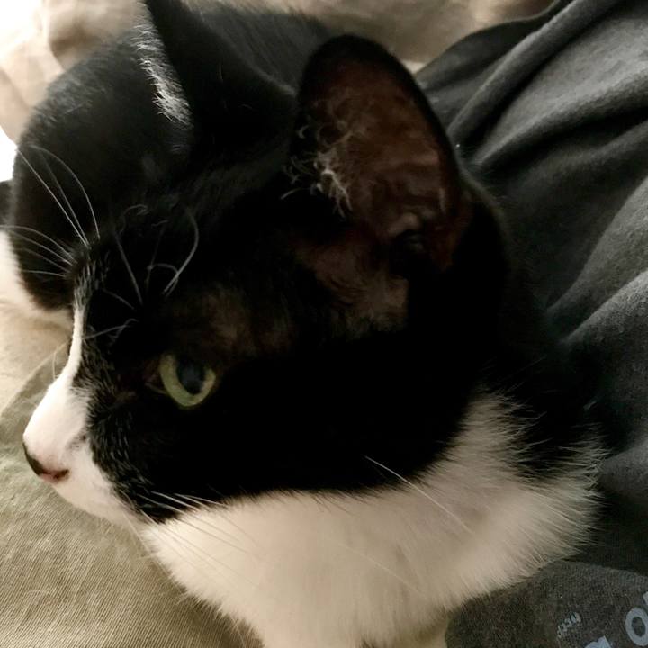 745b96a0 4608 4c16 9d79 562a82e12f85