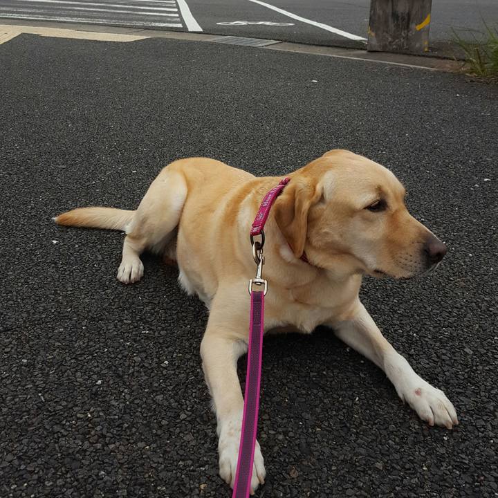 745c6437 d992 4eaa 9a7e 95b2fafde823