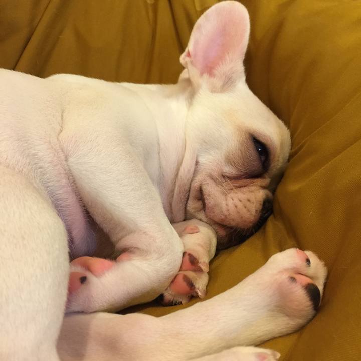 745cc884 0893 4b00 8149 6b23e5059401