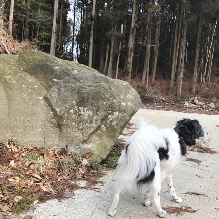 745cecab 3456 4b5a 881b e815bec3fb3b