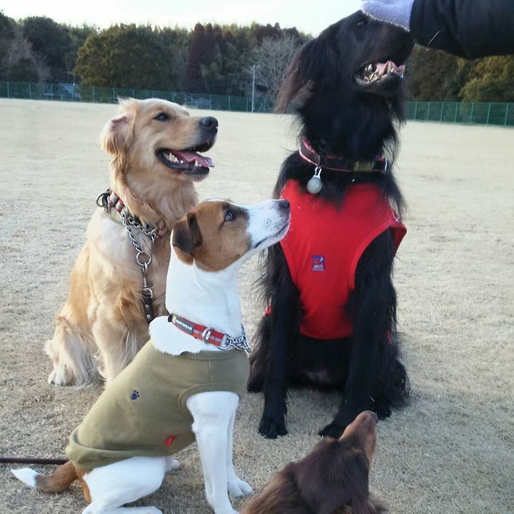 745cf372 8dc6 45c1 81b7 abaf67e3bfd4