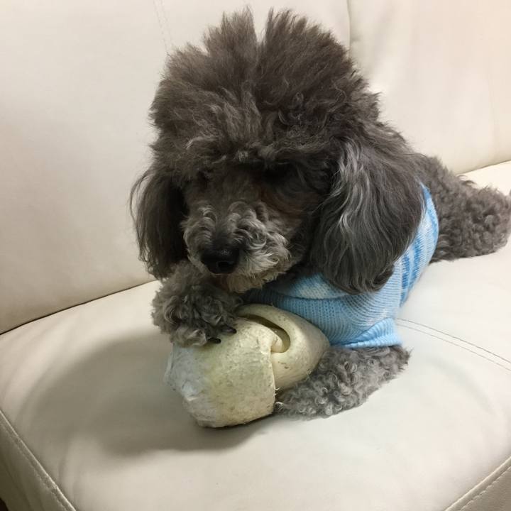 745d0cce c85d 483b aef0 cf9812a84f53